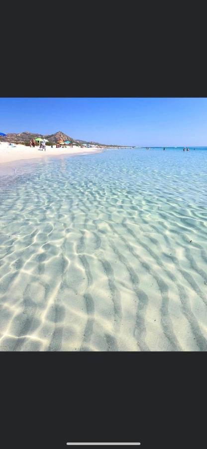 Apartament Le Residenze Del Mare Monolocale N6 La Caletta Zewnętrze zdjęcie